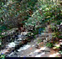 Fraser Island 4WD Tour from Rainbow Beach - Holiday Byron Bay