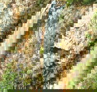 Private Tour - Rainforest  Waterfalls Extravaganza - Holiday Byron Bay
