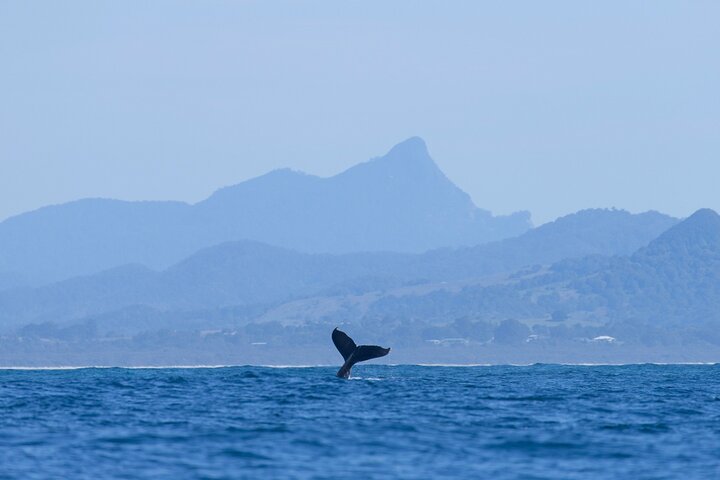  Holiday Byron Bay