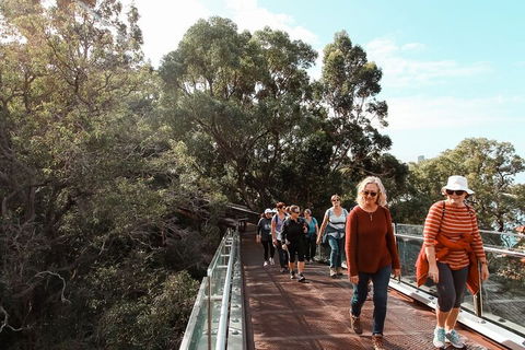 Highlights Of Kings Park - Holiday Byron Bay 3