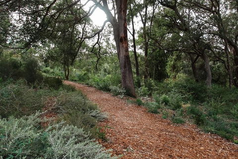 Highlights Of Kings Park - Holiday Byron Bay 5