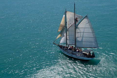 Whitehaven Beach Sailing And Snorkeling Cruise - Holiday Byron Bay 1