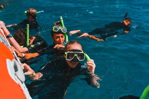 Whitehaven Beach And Hill Inlet Lookout Full-Day Snorkeling Cruise By High-Speed Catamaran - Holiday Byron Bay 3