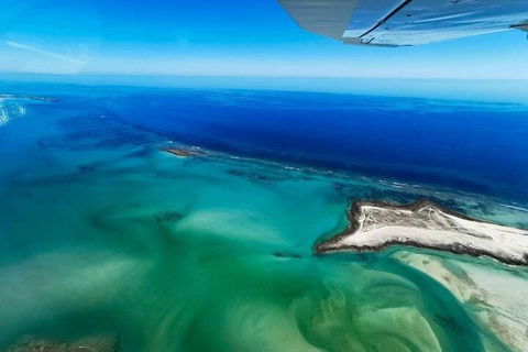 Wet Season Incredible Islands Tour - Horizontal Falls & Cygnet Bay Pearl Farm - Holiday Byron Bay 4