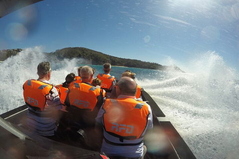 Noosa Thriller - 500hp Ocean Adventure Ride - Holiday Byron Bay 3