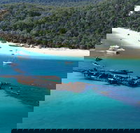 All Inclusive Tangalooma Wrecks Cruise Tour From Gold Coast - Holiday Byron Bay