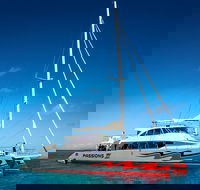 Passions of Paradise Great Barrier Reef Snorkel and Dive Cruise from Cairns by Luxury Catamaran - Holiday Byron Bay