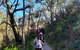Self-Guided Waterfall Gully To Mount Lofty Hike From Adelaide - thumb 1