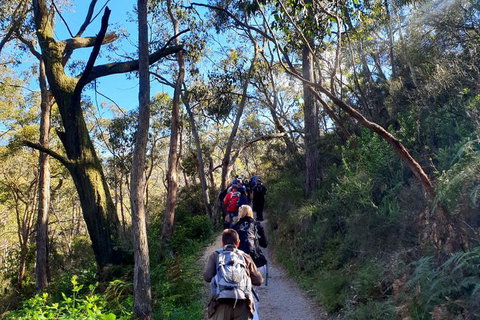 Self-Guided Waterfall Gully To Mount Lofty Hike From Adelaide - Holiday Byron Bay 1
