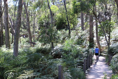 Self-Guided Waterfall Gully To Mount Lofty Hike From Adelaide - Holiday Byron Bay 2
