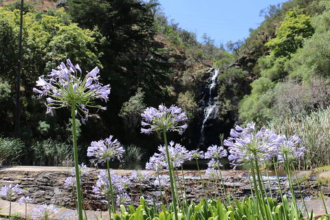 Self-Guided Waterfall Gully To Mount Lofty Hike From Adelaide - Holiday Byron Bay 3
