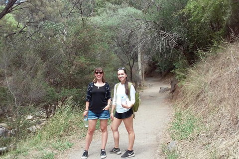 Self-Guided Waterfall Gully To Mount Lofty Hike From Adelaide - Holiday Byron Bay 4