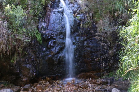 Self-Guided Waterfall Gully To Mount Lofty Hike From Adelaide - Holiday Byron Bay 5