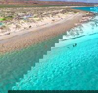 Ningaloo in a Day - Full Day Hike and Snorkel Tour with Lunch - Holiday Byron Bay