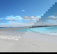 Shipwreck Special Nature Tour/Half Day Tour - Holiday Byron Bay