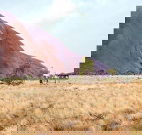 Uluru Sunrise and Guided Base Walk - Holiday Byron Bay