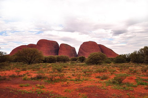 Ayers Rock Combo: Uluru Base And Sunset Plus Uluru Sunrise And Kata Tjuta With An Optional BBQ Dinner Or Kings Canyon Day Trip - Holiday Byron Bay 1