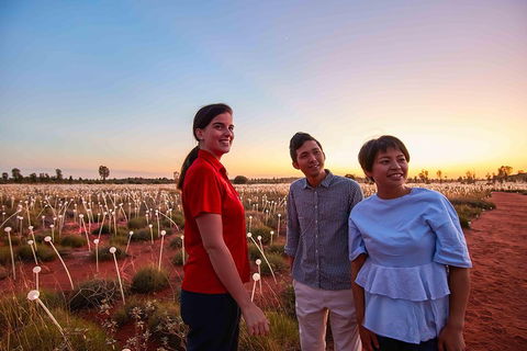 Uluru (Ayers Rock) Field Of Light Sunrise Tour - Holiday Byron Bay 2