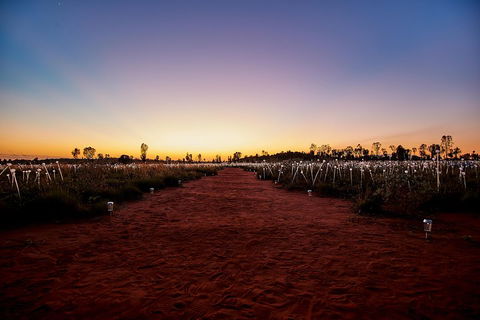 Uluru (Ayers Rock) Field Of Light Sunrise Tour - Holiday Byron Bay 3