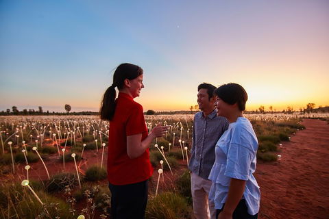 Uluru (Ayers Rock) Field Of Light Sunrise Tour - Holiday Byron Bay 5