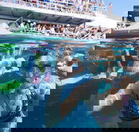 Great Barrier Reef Day Cruise from Cairns Including Snorkeling and Marine Biologist Presentation - Holiday Byron Bay
