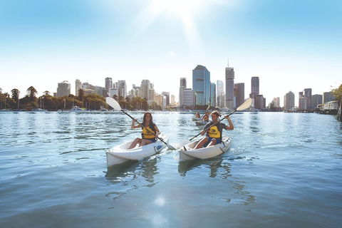 Brisbane Kayak Tour - Holiday Byron Bay 0