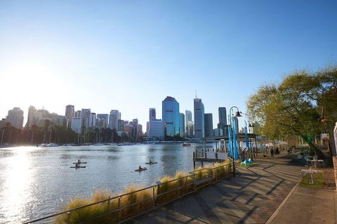 Brisbane Kayak Tour - Holiday Byron Bay 1