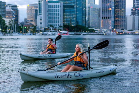 Brisbane Kayak Tour - Holiday Byron Bay 3