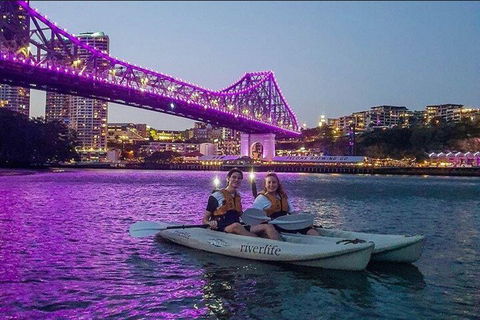 Brisbane Kayak Tour - Holiday Byron Bay 4
