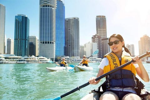 Brisbane Kayak Tour - Holiday Byron Bay 5