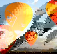 Natural Bridge  Springbrook Waterfalls Tour  Hot Air Balloon with Breakfast - Holiday Byron Bay