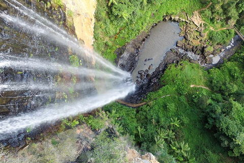 Natural Bridge & Springbrook Waterfalls Tour + Hot Air Balloon With Breakfast - Holiday Byron Bay 1