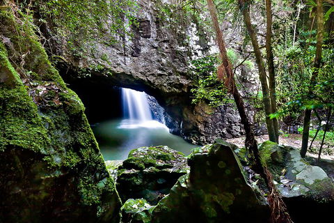 Natural Bridge & Springbrook Waterfalls Tour + Hot Air Balloon With Breakfast - Holiday Byron Bay 4