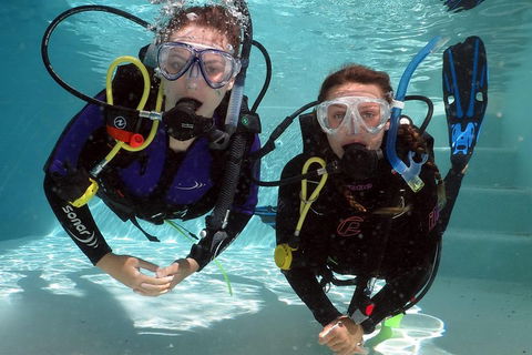 Quicksilver Dive 4 Day PADI Learn To Dive Course - Holiday Byron Bay 2