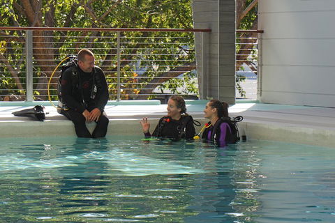 Quicksilver Dive 4 Day PADI Learn To Dive Course - Holiday Byron Bay 3