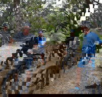 Fully guided E-Mountain Bike Tour on the beautiful Mornington Peninsula. - Holiday Byron Bay