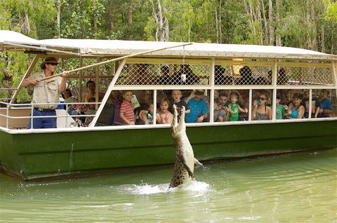 Hartley's Crocodile Adventure Half-Day Tour - Holiday Byron Bay 0