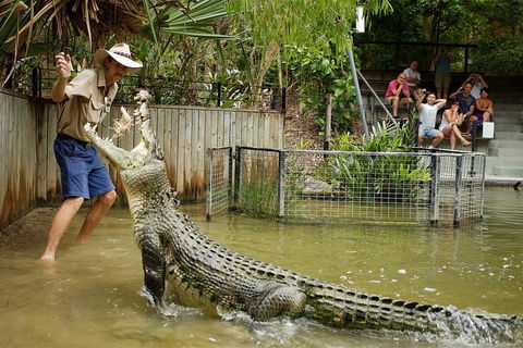 Hartley's Crocodile Adventure Half-Day Tour - Holiday Byron Bay 2