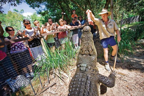 Hartley's Crocodile Adventure Half-Day Tour - Holiday Byron Bay 4