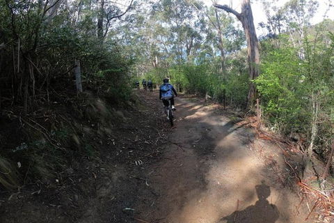 Explore Downhill Mountain In 3-Hour Bike Tour From Hobart - Holiday Byron Bay 3