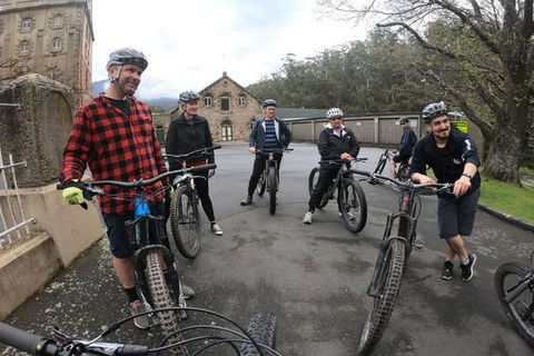 Explore Downhill Mountain In 3-Hour Bike Tour From Hobart - Holiday Byron Bay 5