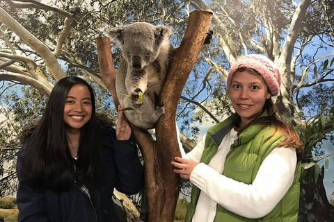 Australia Multi-City Attractions Pass - Holiday Byron Bay 3