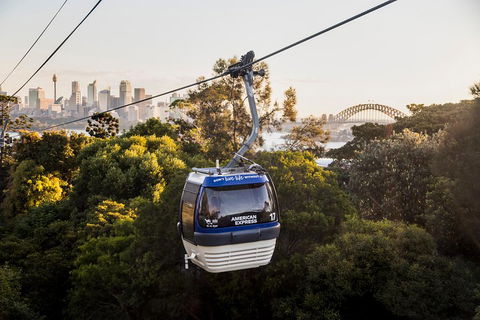 Australia Multi-City Attractions Pass - Holiday Byron Bay 5