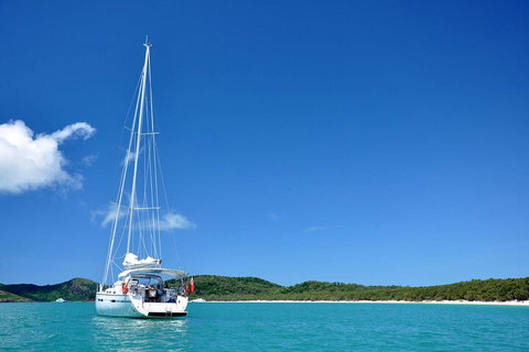 Sailing Curlew Escape On Moreton Bay - Holiday Byron Bay 5