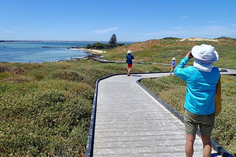 Penguin And Seal Islands Sea Kayaking Experience - Holiday Byron Bay 1