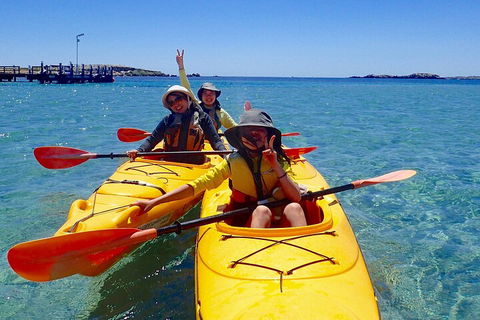 Penguin And Seal Islands Sea Kayaking Experience - Holiday Byron Bay 4
