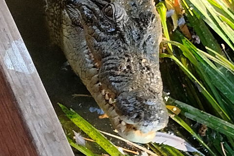 Litchfield Park Adventures And Jumping Crocodile Cruise + Butterfly Farm - Holiday Byron Bay 1