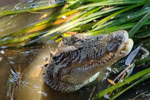 Litchfield Park Adventures And Jumping Crocodile Cruise + Butterfly Farm - Holiday Byron Bay 4