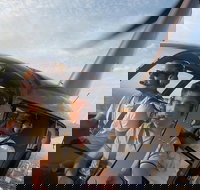 Melbourne and Port Phillip Bay Helicopter Tour