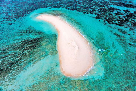 Private Coral Cay Bubbles Tour - Holiday Byron Bay 3